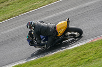 Middle Group Yellow Bikes